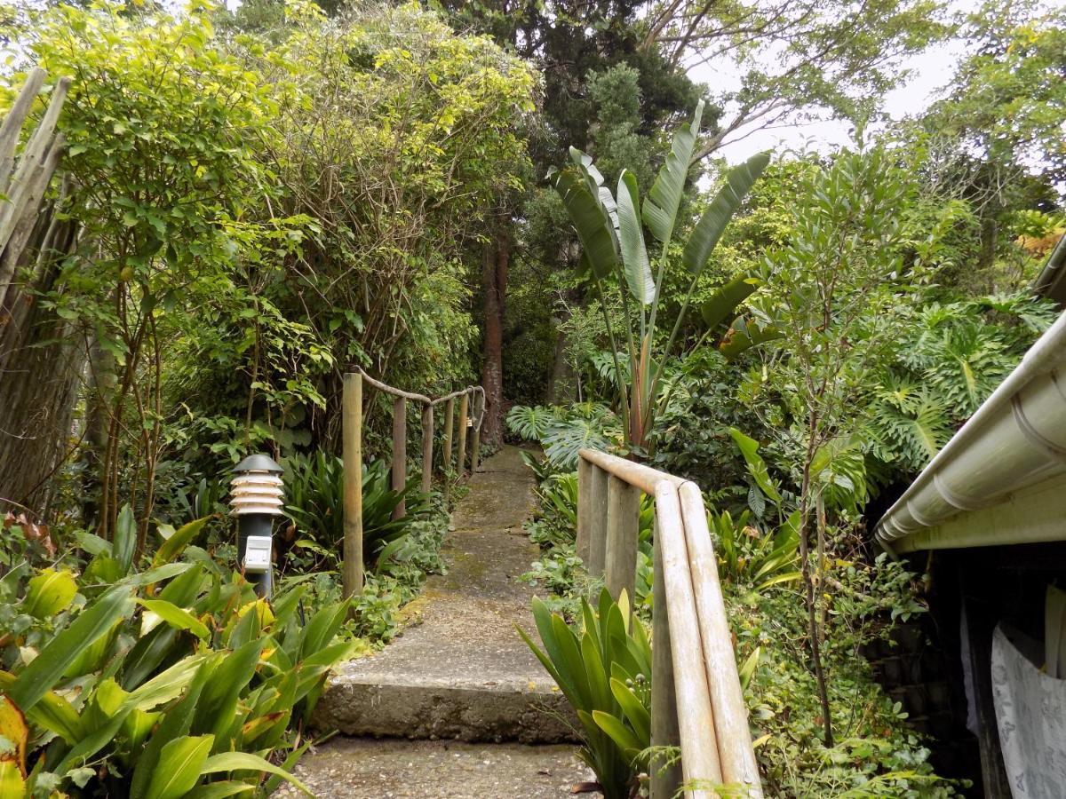 Protea Guest House Knysna Ngoại thất bức ảnh