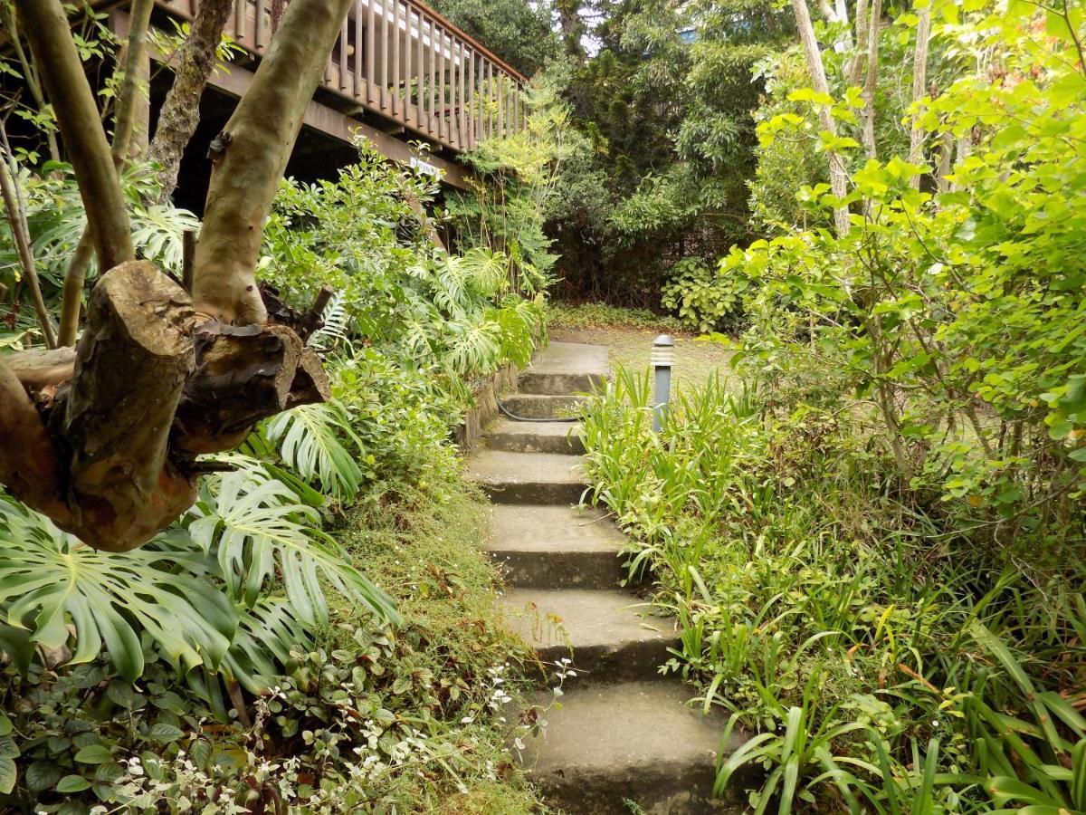 Protea Guest House Knysna Ngoại thất bức ảnh