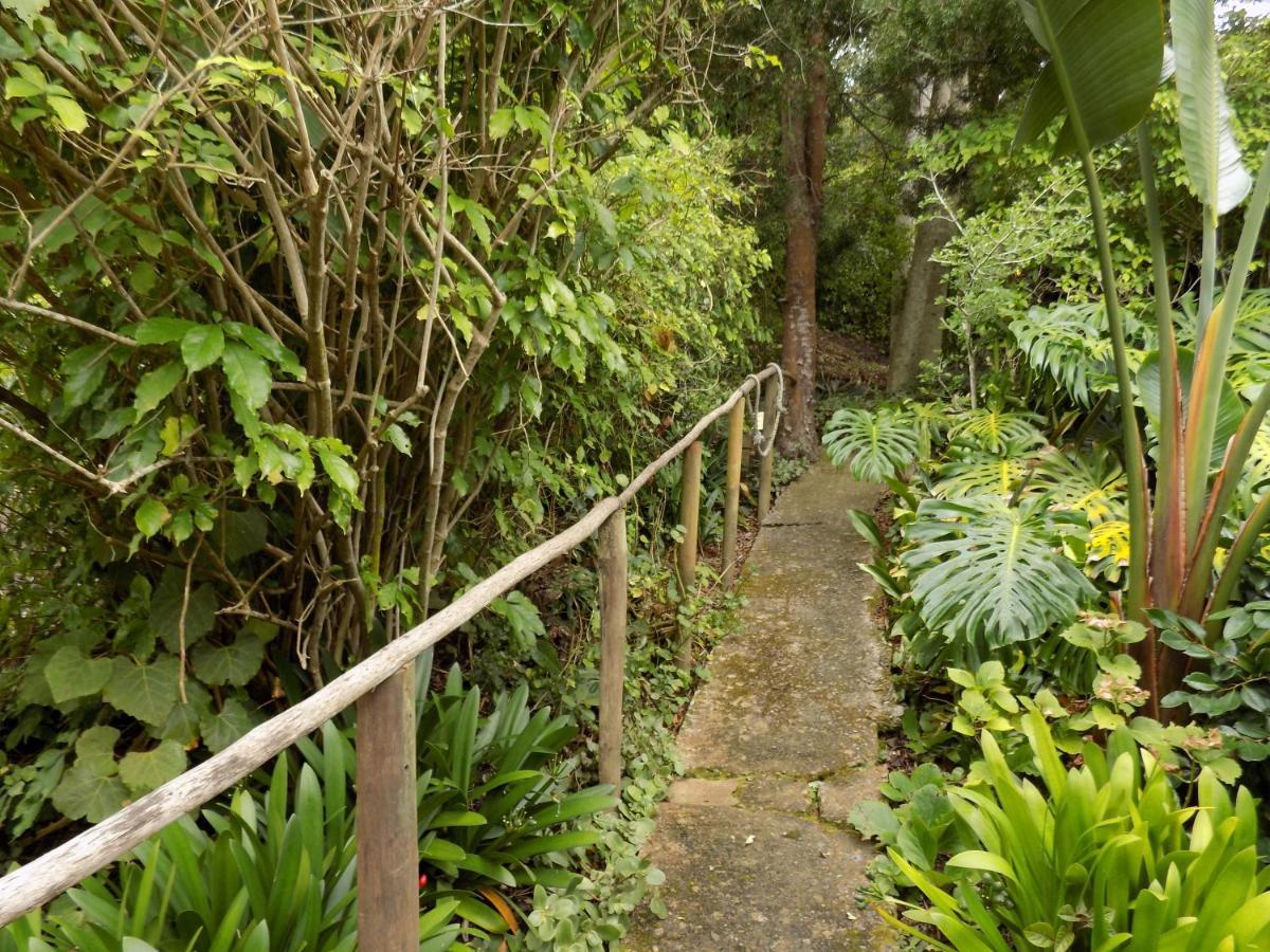 Protea Guest House Knysna Ngoại thất bức ảnh