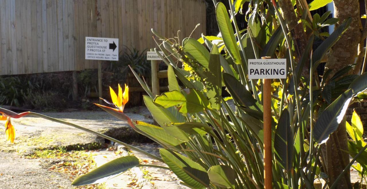 Protea Guest House Knysna Ngoại thất bức ảnh