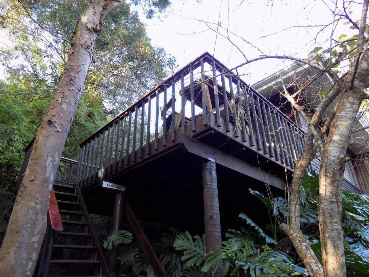 Protea Guest House Knysna Ngoại thất bức ảnh